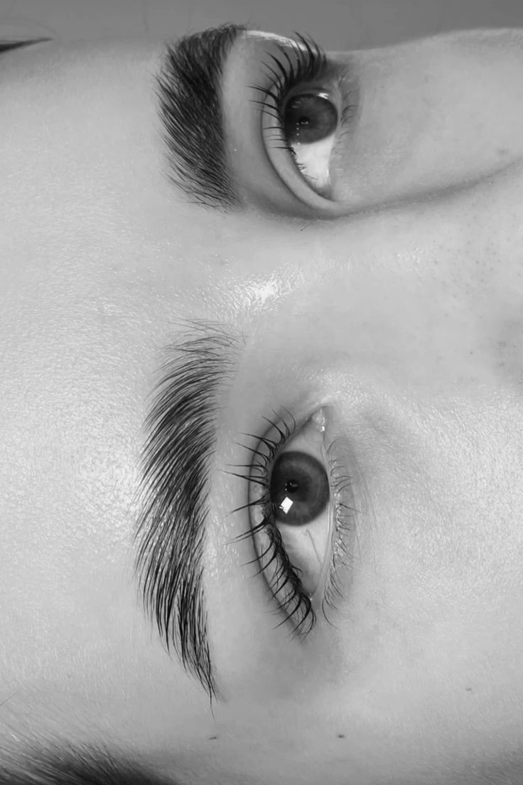 Brow Lamination